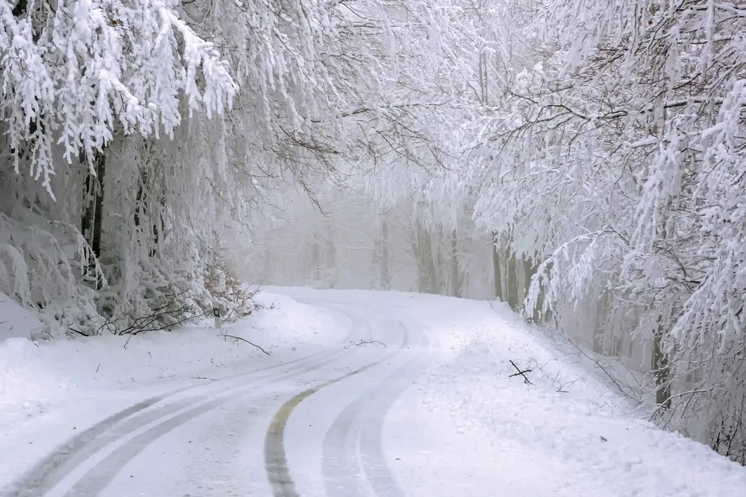 Carretera, invierno, nieve