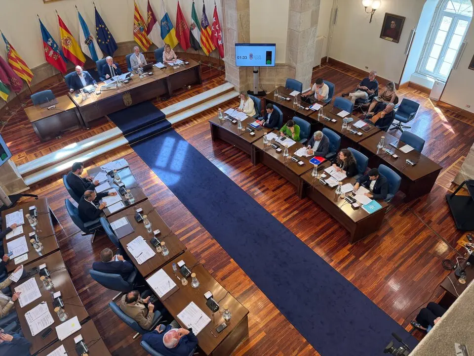 FOTO GPP pleno xuño 2025