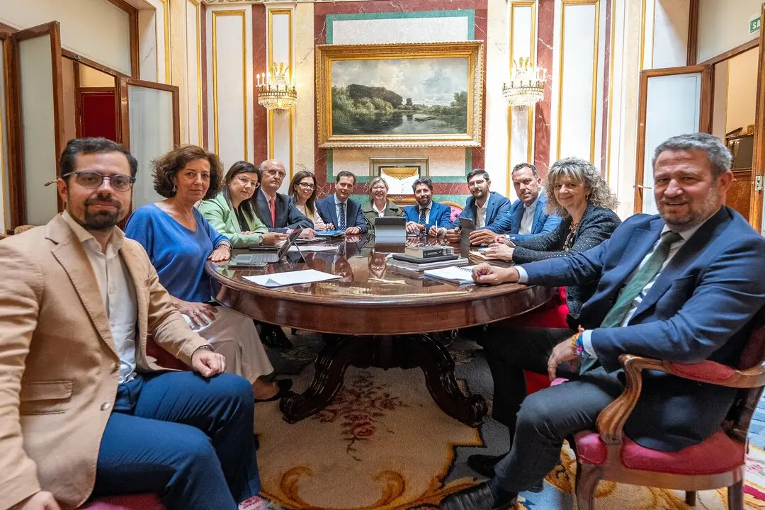 Reunión deputados Congreso - supresión servicios AVE