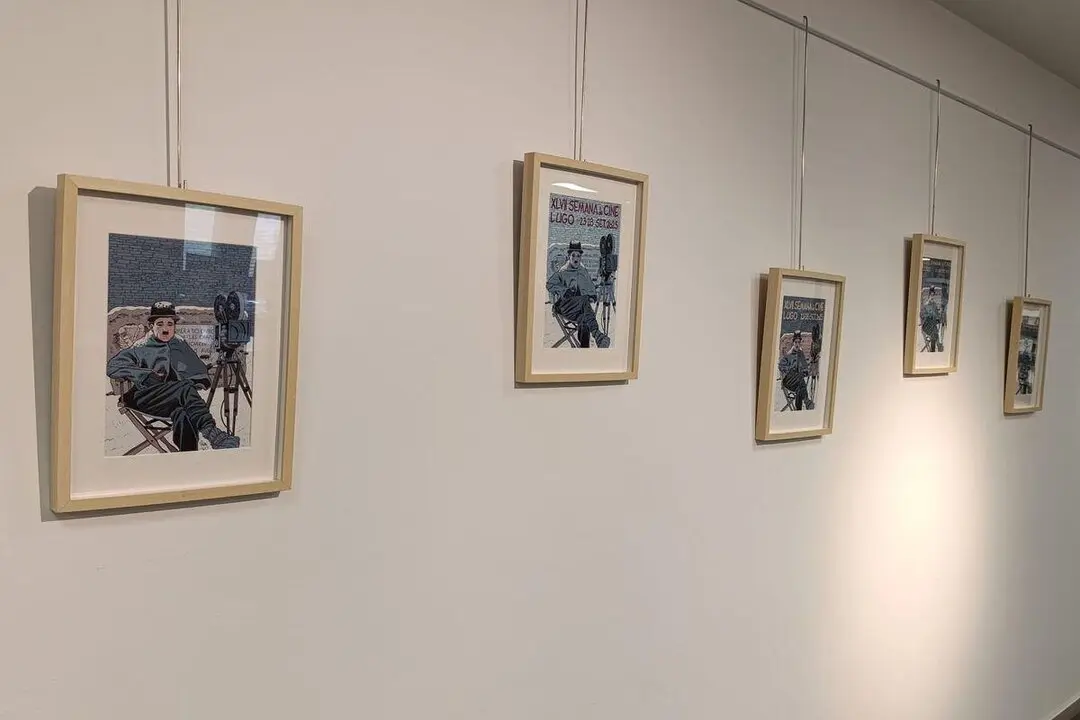 La exposición del cartel de la Semana de Cine de Lugo se encuentra en la entrada de la Biblioteca Provincial
