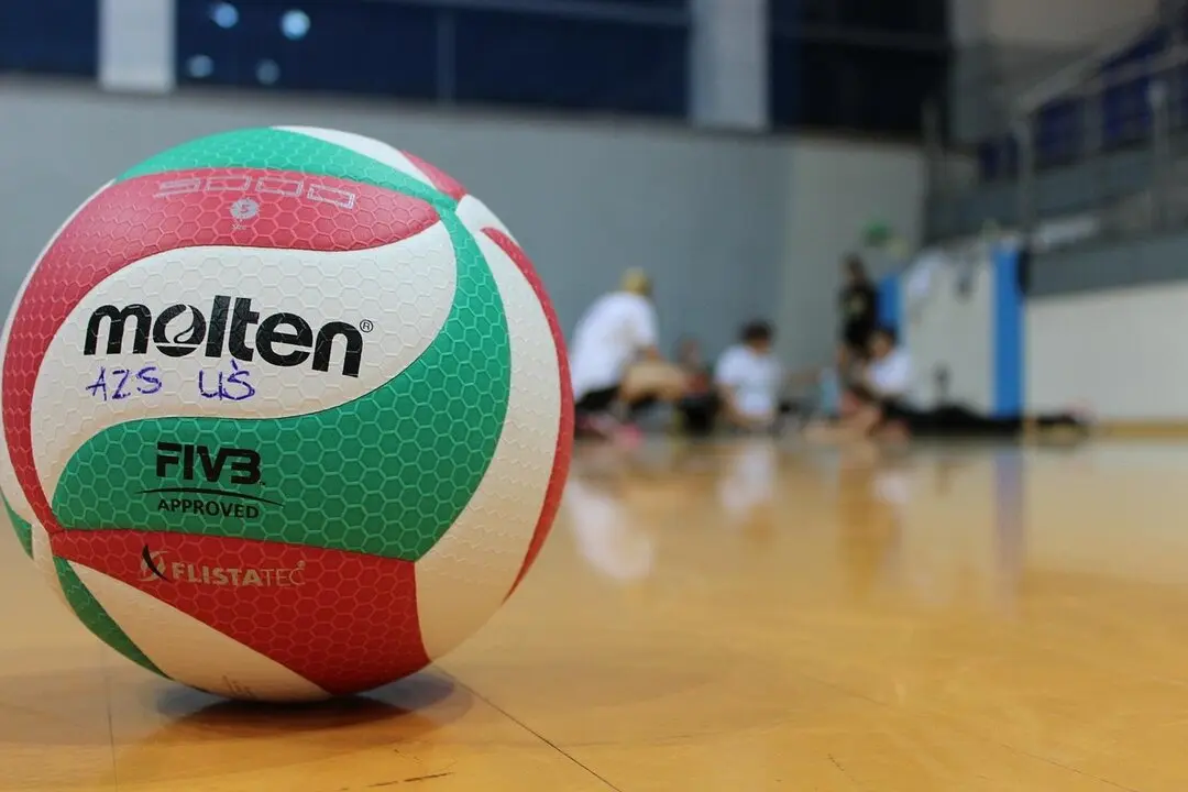 Voleibol