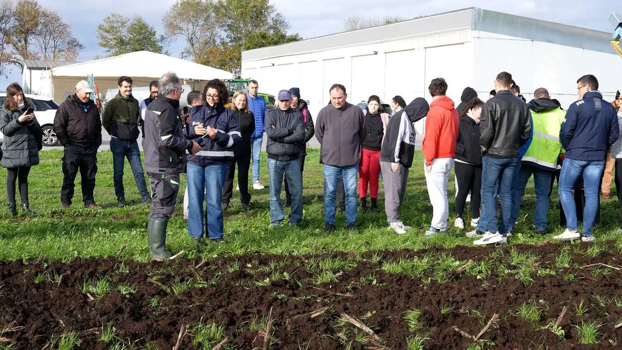 301025 Xornadas DIGIPurín