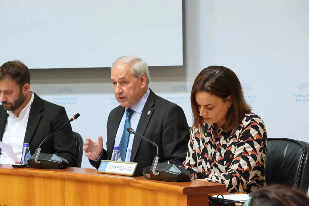 Tomé, en la comparecencia ante la Comisión del Parlamento para presentar los Orzamentos 2026