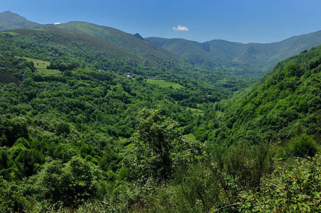 4609scr_2f213389d6ec600