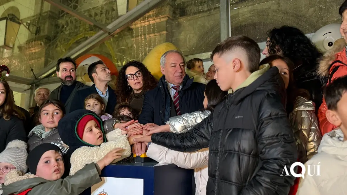 Encendido de las luces de Navidad de la Diputación (28)