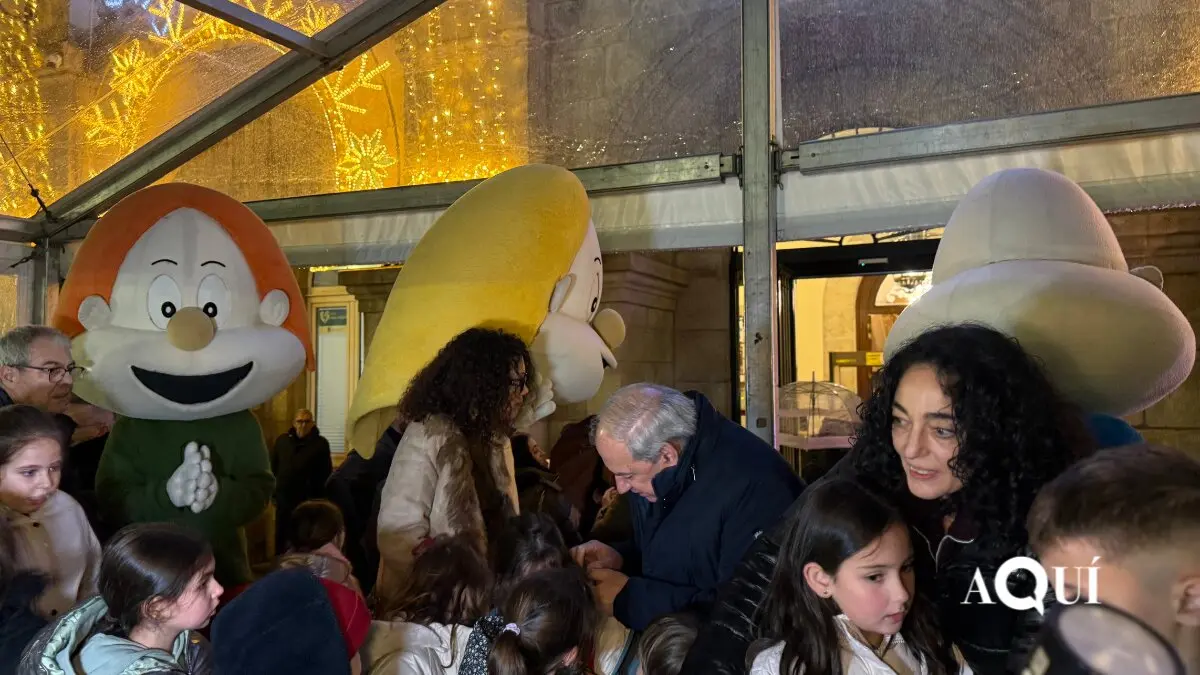 Encendido de las luces de Navidad de la Diputación (29)