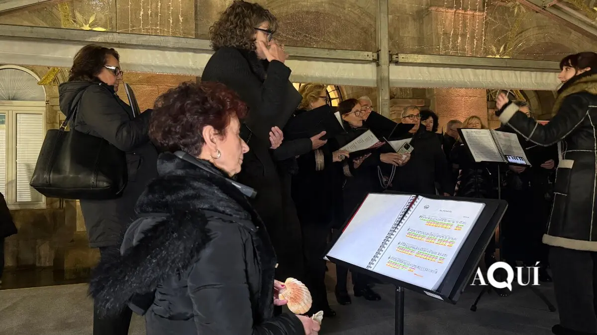 Encendido de las luces de Navidad de la Diputación (30)