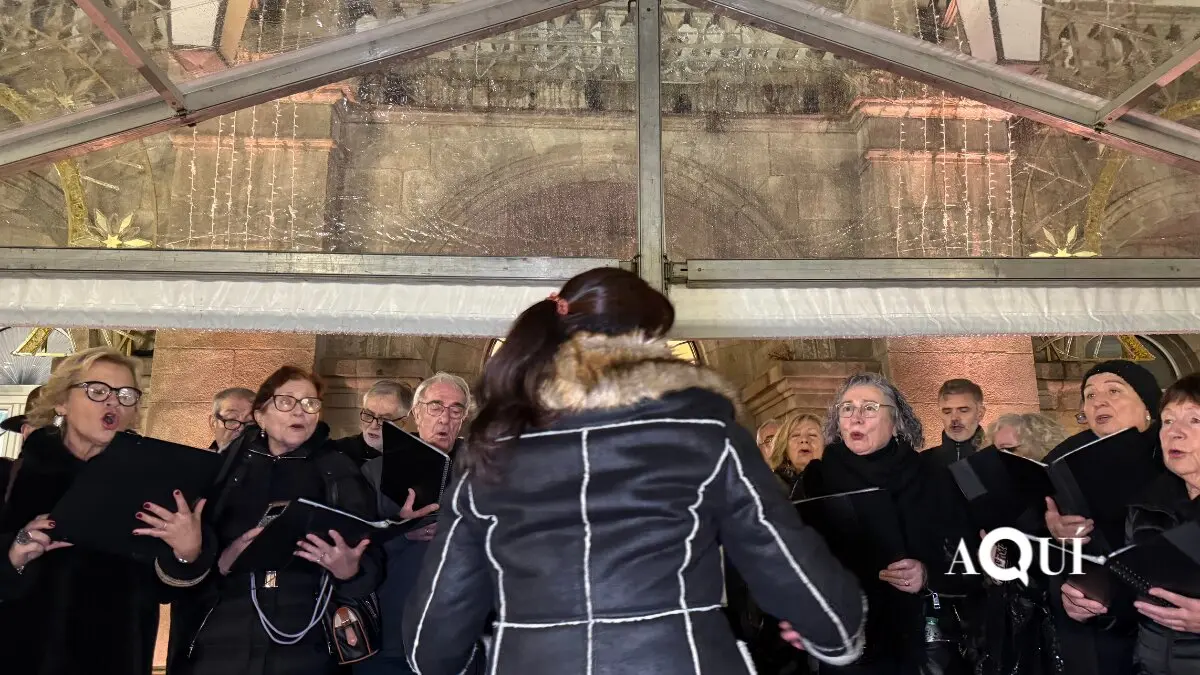 Encendido de las luces de Navidad de la Diputación (31)