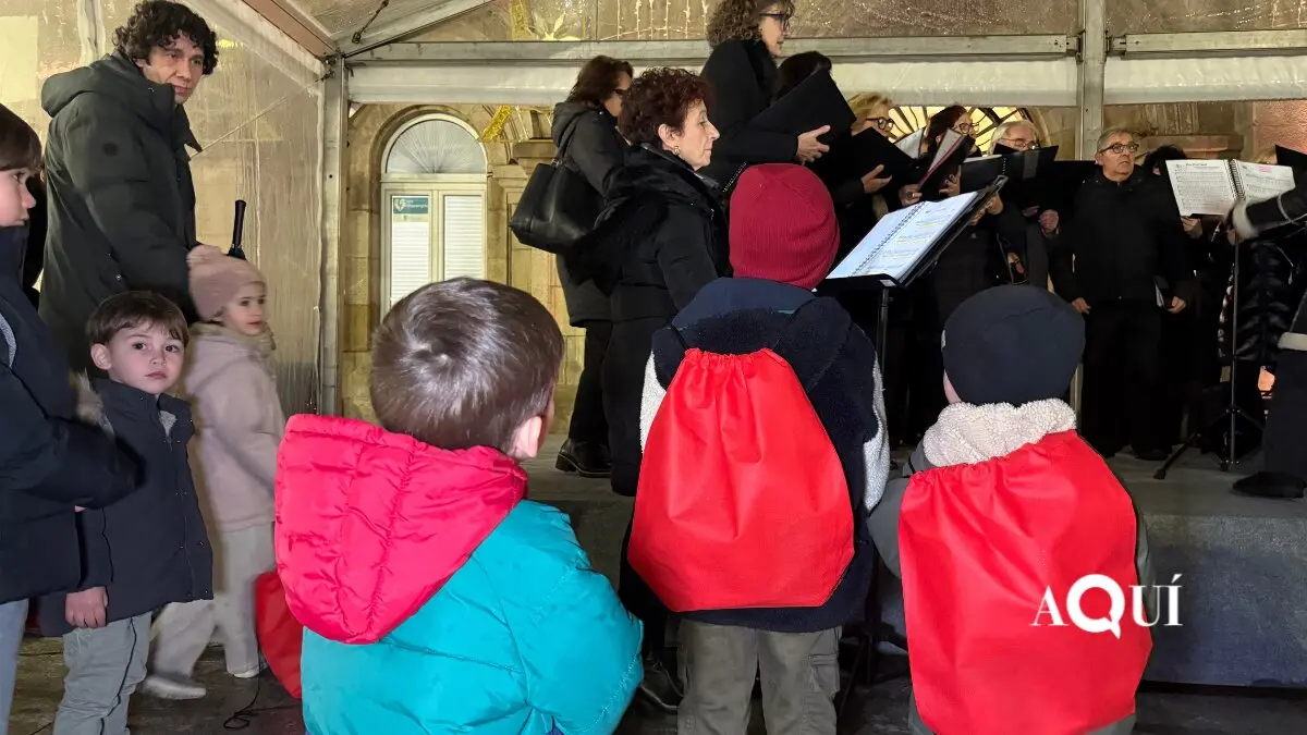 Encendido de las luces de Navidad de la Diputación (32)