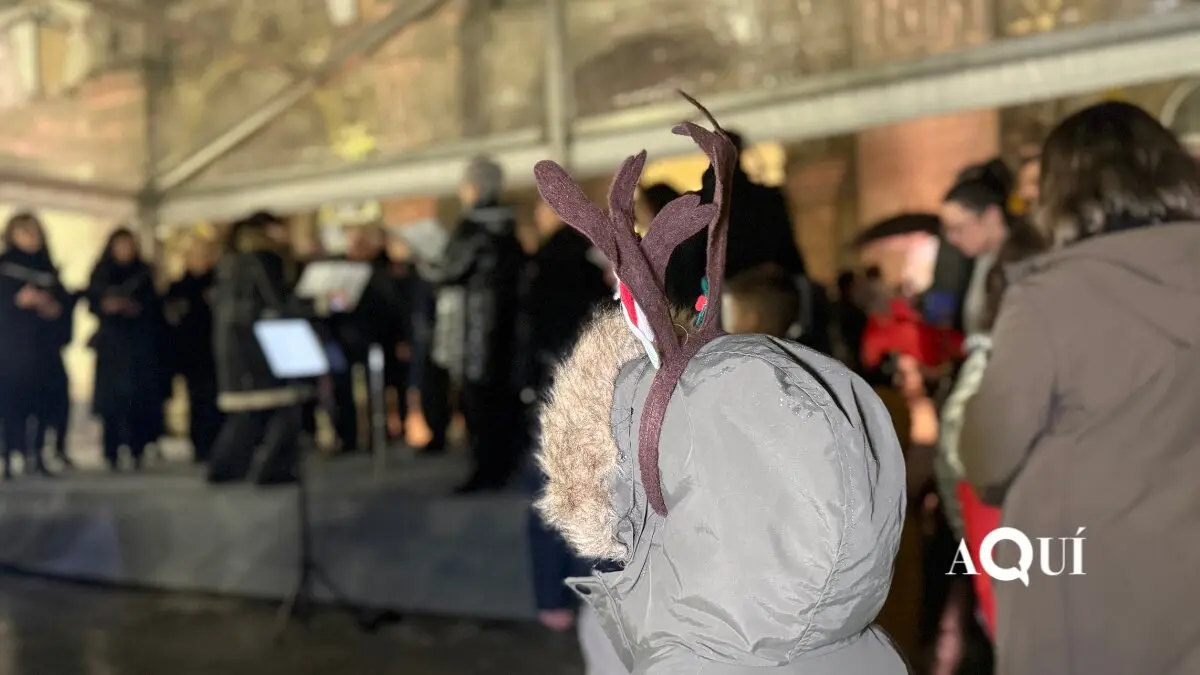 Encendido de las luces de Navidad de la Diputación (1)