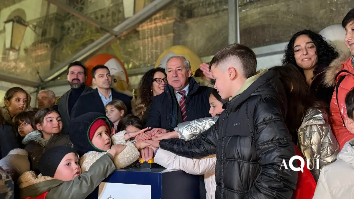 Encendido de las luces de Navidad de la Diputación (3)