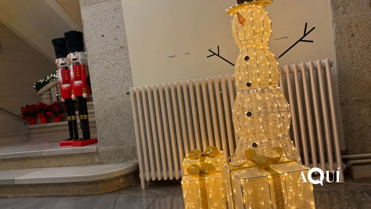 Encendido de las luces de Navidad de la Diputación (6)