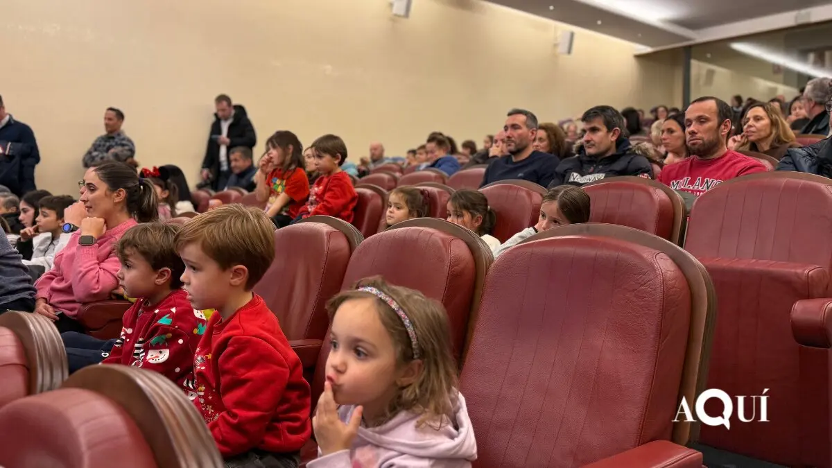 Encendido de las luces de Navidad de la Diputación (18)