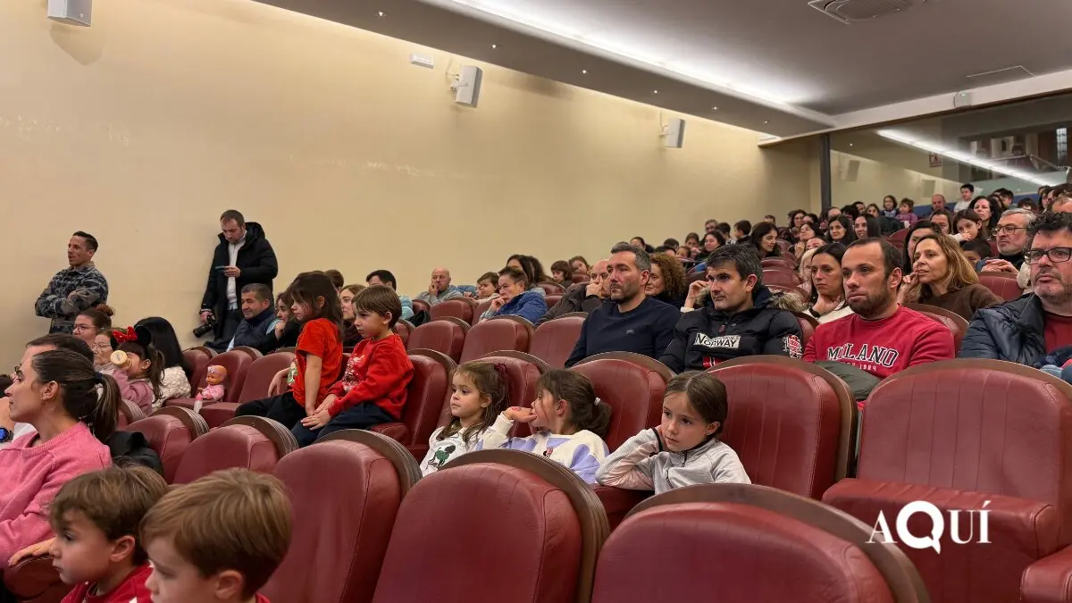 Encendido de las luces de Navidad de la Diputación (19)