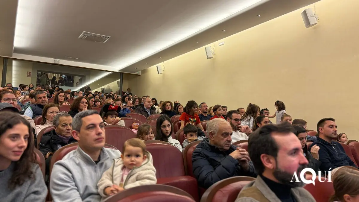 Encendido de las luces de Navidad de la Diputación (21)