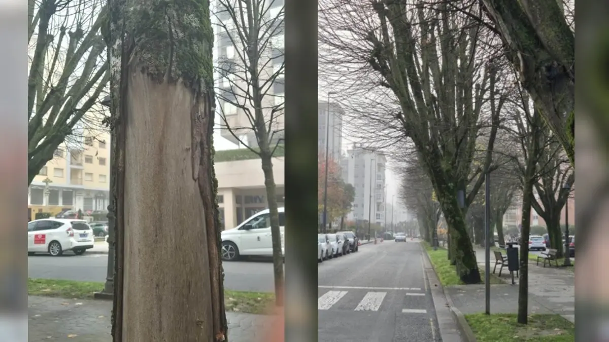 NOTICIAS AQUI DIARIO (1200 x 675 px) (47)