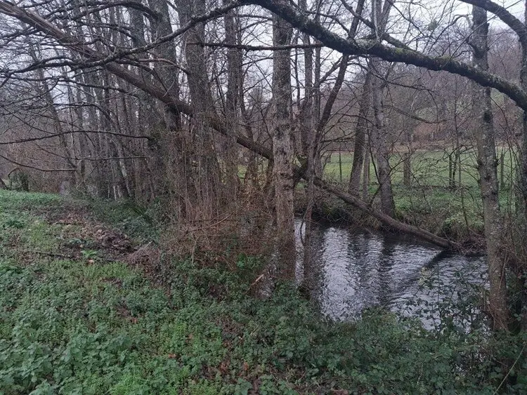 Conservaci&oacute;n de r&iacute;os de la provincia a cargo de la CHMS