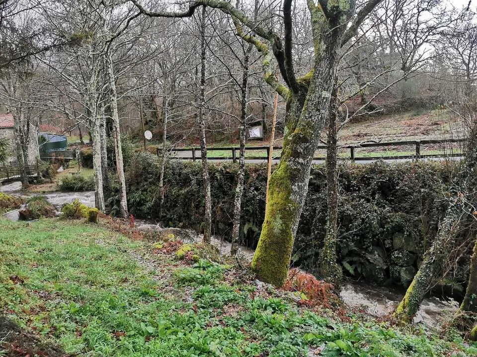 El paseo fluvial del r&iacute;o Rox&aacute;n