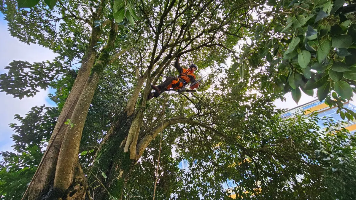 NOTICIAS AQUI DIARIO (1200 x 675 px) - 2026-01-29T161938.395