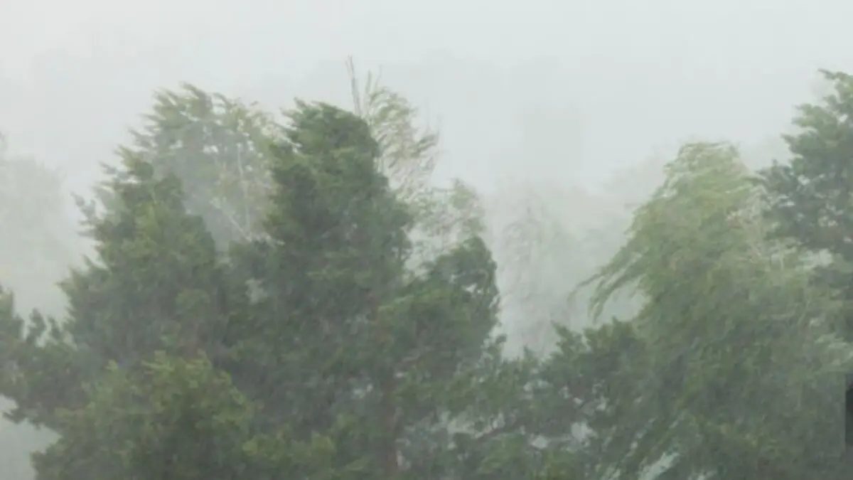 NOTICIAS AQUI DIARIO (1200 x 675 px) - 2026-01-29T175904.031