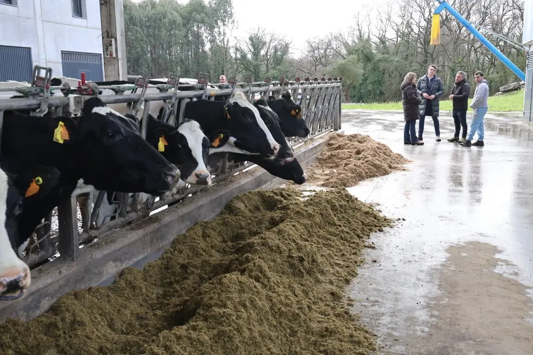 300126 Servizos Agricolas Castedo 1