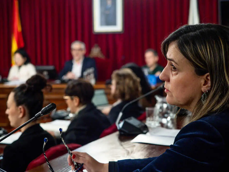 260206_Mar&iacute;a Reigosa, concejala independiente en el Concello de Lugo.
PRADERO