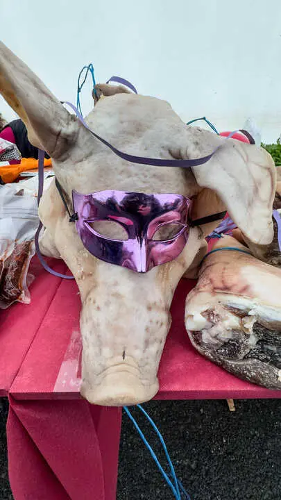 00001260207_FEIRA CARNAVAL NADELA_