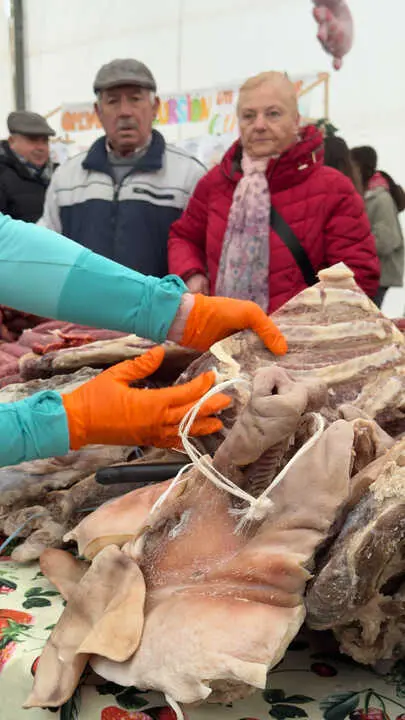 00006260207_FEIRA CARNAVAL NADELA_