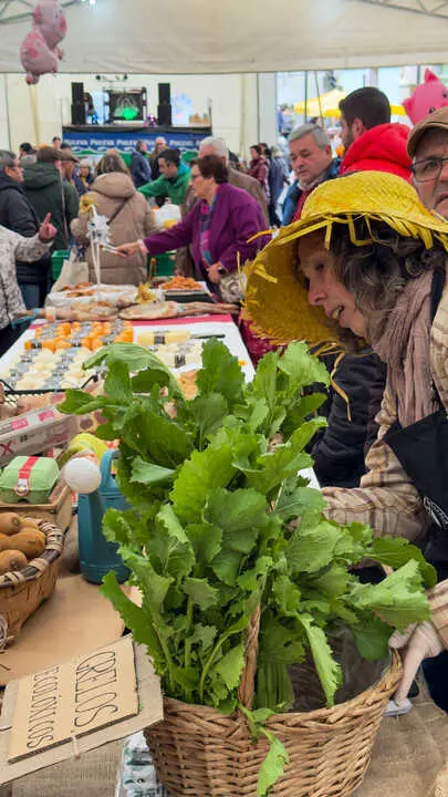 00017260207_FEIRA CARNAVAL NADELA_