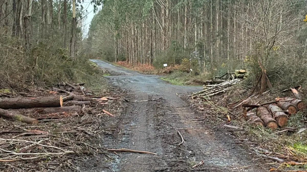 NOTICIAS AQUI DIARIO (1200 x 675 px) - 2026-02-07T181838.421