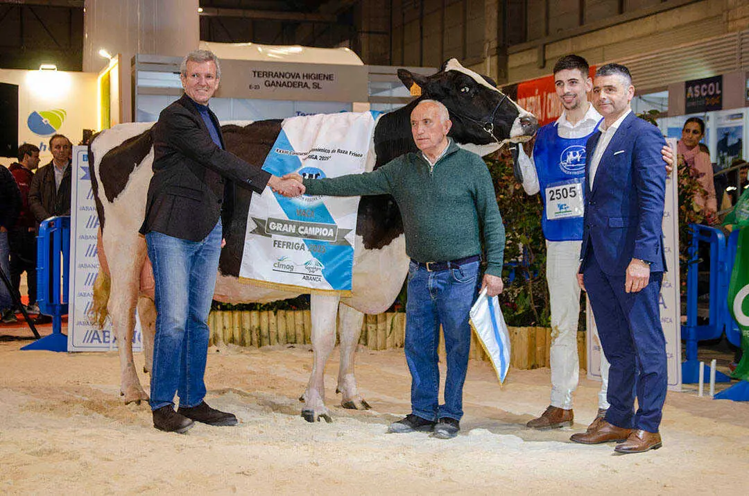 campeona-rexional-galicia-2026-web