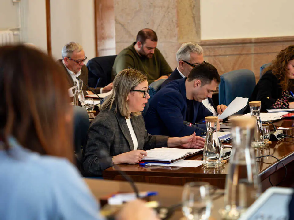 24022026_Pleno ordinario de la Diputaci&oacute;n de Lugo.
PRADERO