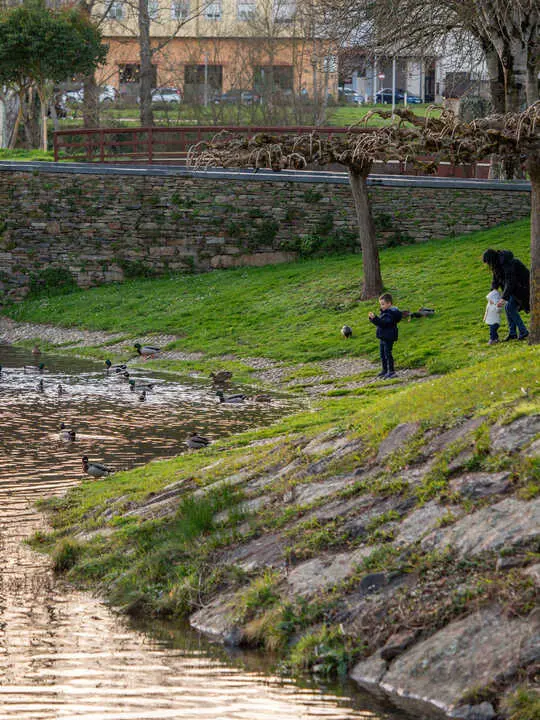 27022026_ Recursos de Monforte.  Parque Dos Condes
PRADERO