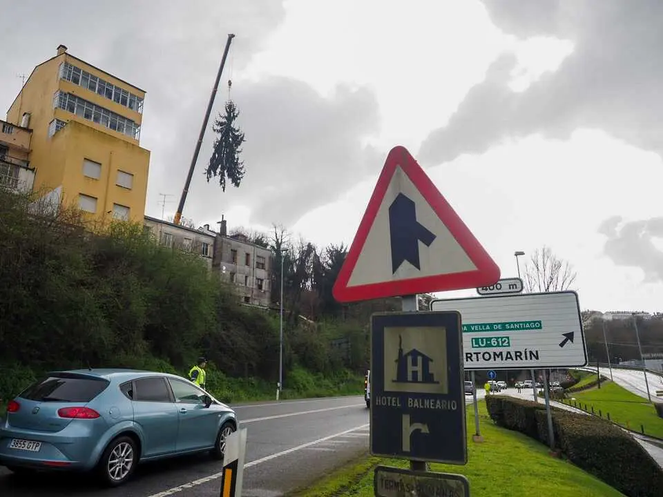 Retirada de un abeto de grandes dimensiones de la zona de la r&uacute;a Santiago y la N-6. PRADERO