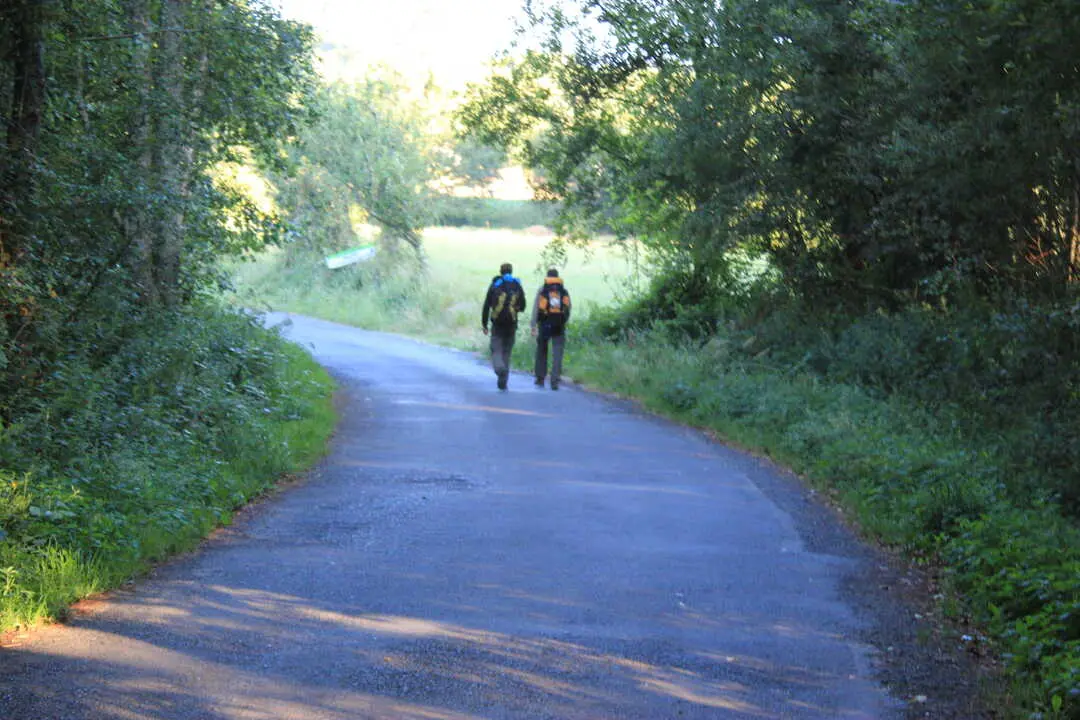 Un tramo del Cami&ntilde;o de Santiago en Palas de Rei