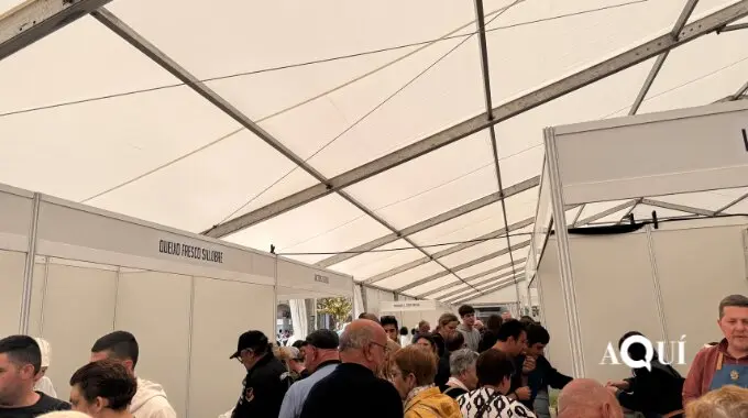 Festa do Queixo de San Sim&oacute;n Vilalba (7)