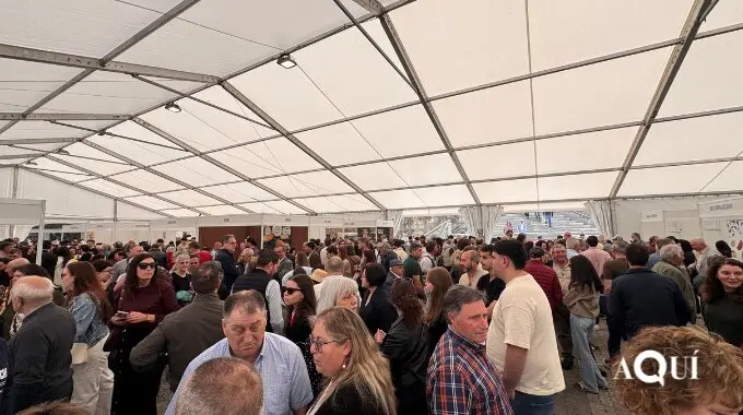 Festa do Queixo de San Sim&oacute;n Vilalba (23)