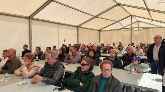 Festa do Queixo de San Sim&oacute;n Vilalba (25)