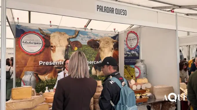 Festa do Queixo de San Sim&oacute;n Vilalba (28)