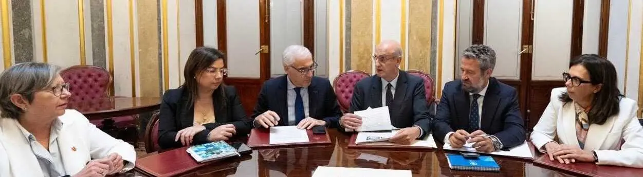 Deputados no Congreso PP Lugo e Ourense