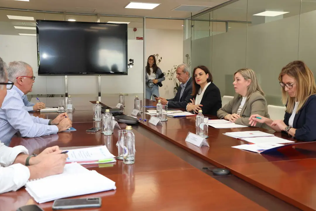 200426 Reuni&oacute;n Emerxencias