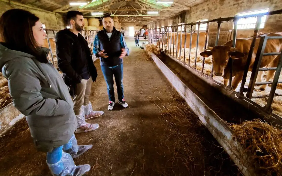 Programa Marela, de la Vicepresidencia