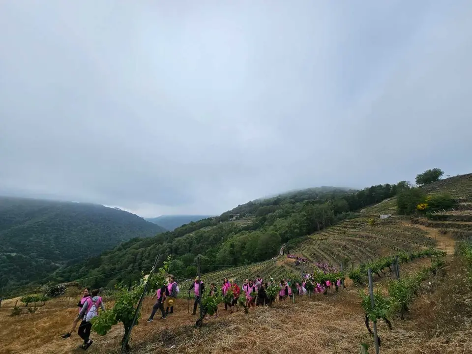 Andaina solidaria de Chantada contra o Cancro