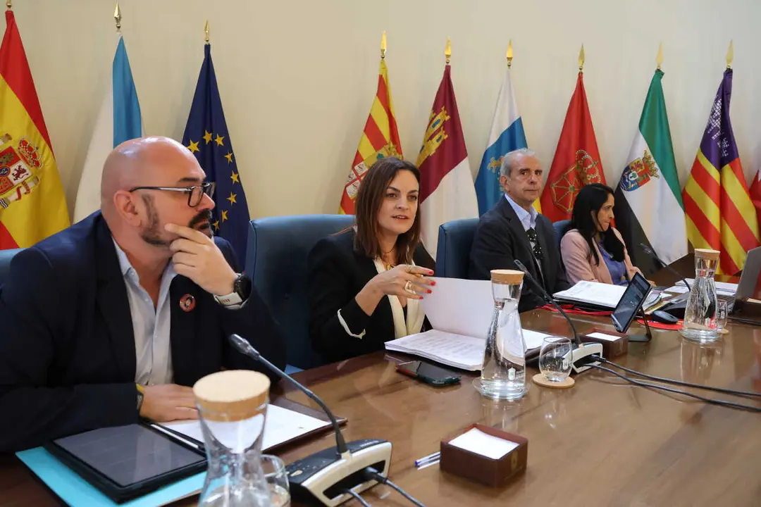 280426 Pleno ordinario da Deputaci&oacute;n