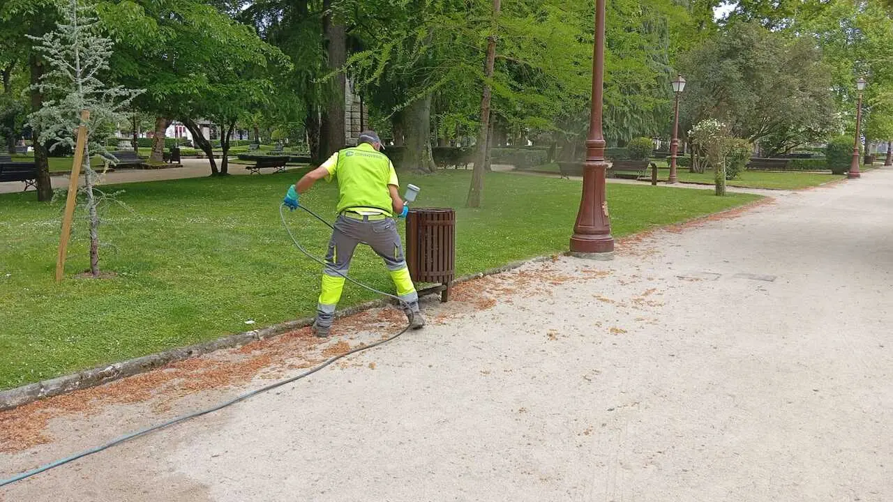 042826_foto2_transicion_ecoloxica_continua_os_traballos_de_conservacion_e_posta_en_valor_no_parque_rosalia_de_castro