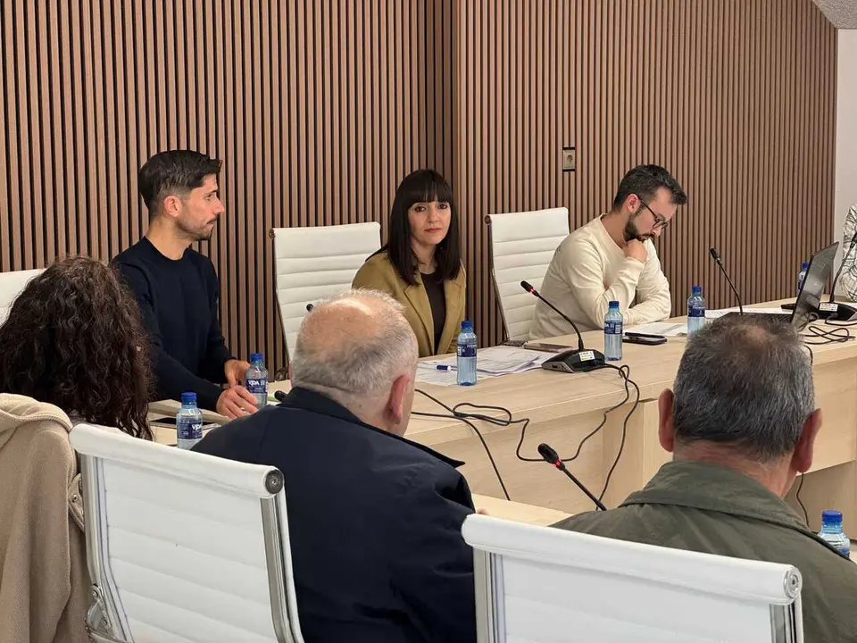 Marta Rouco, durante el pleno extraordinario de esta ma&ntilde;ana