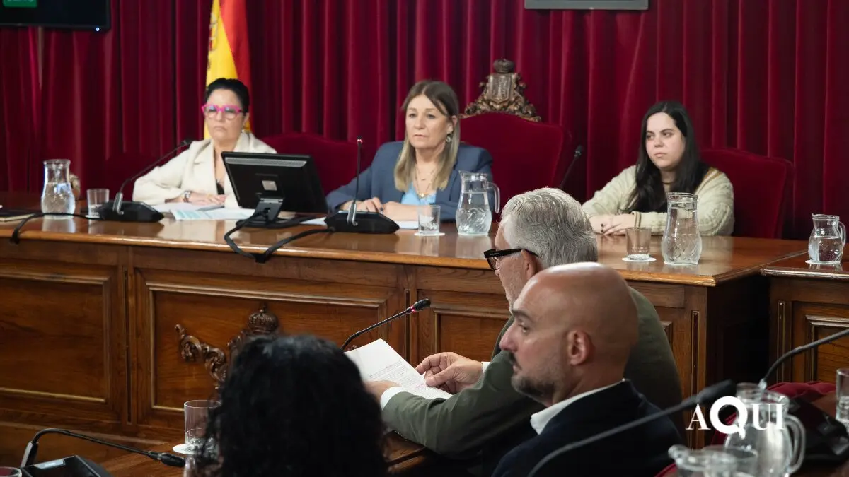 Moci&oacute;n de censura en Lugo (8)