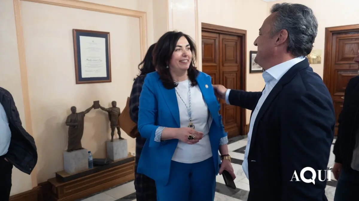 Moci&oacute;n de censura en Lugo (26)