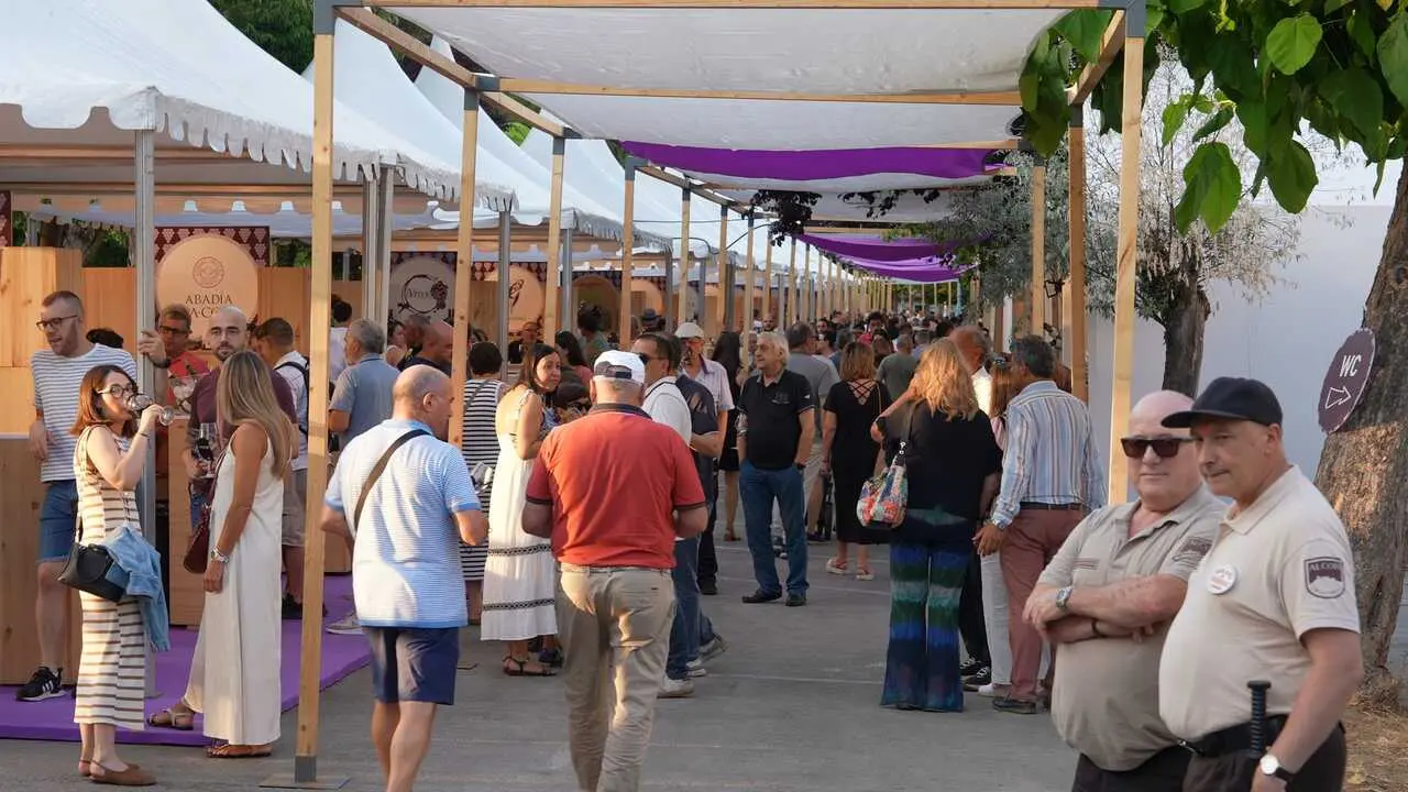 Imagen del festival do Vi&ntilde;o de Monforte de 2025