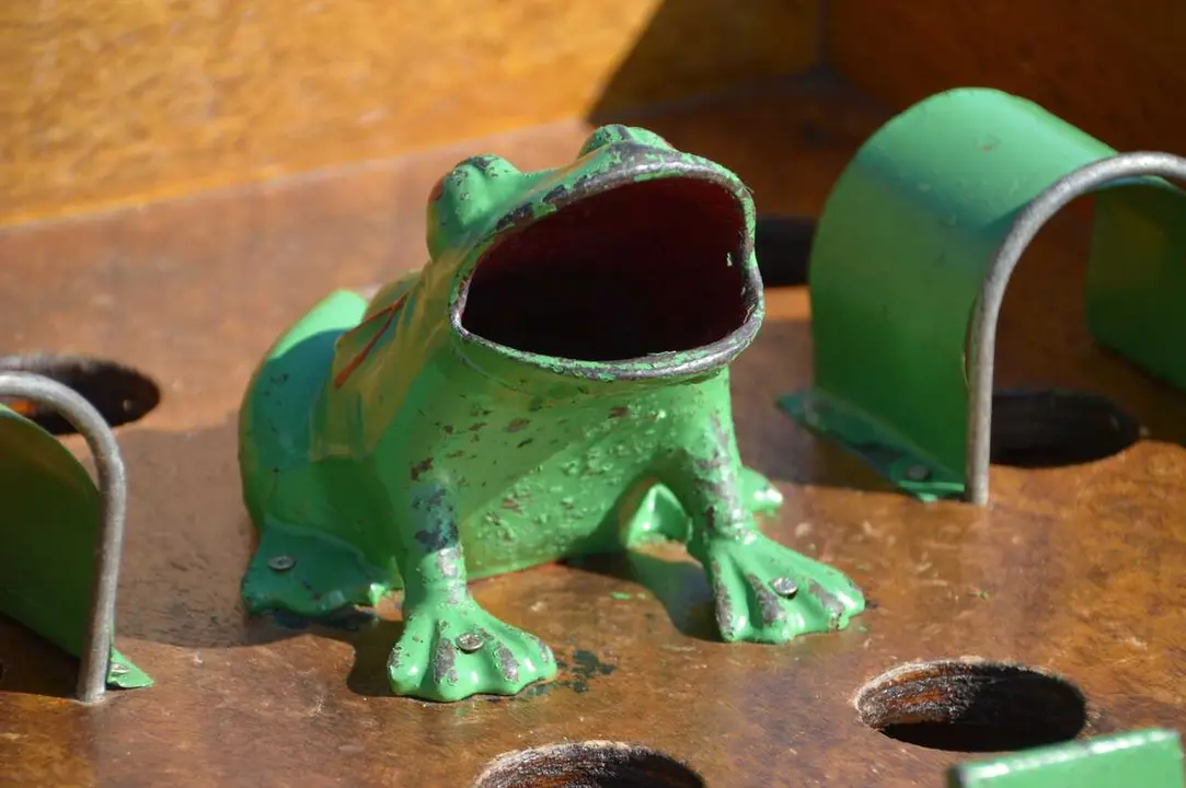 Juego de la rana, xogo da ra